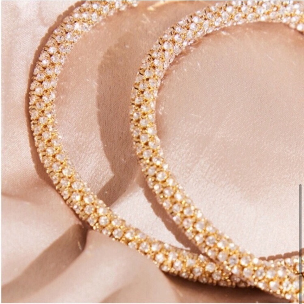 Rare Diamant Encrusted Hoop Earrings View 3